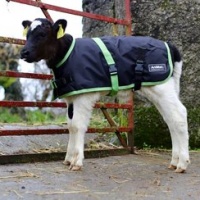 Super calf jacket waterproof CCAB22 thumbnail