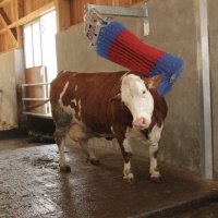 Cow Cleaning Machine HAPPYCOW Swing 18860-EN  thumbnail